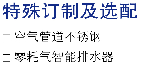 特殊訂制及選配.jpg